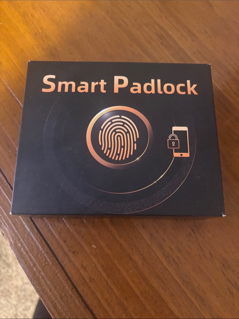 Smart Padlock - Black with Rose Gold Accents